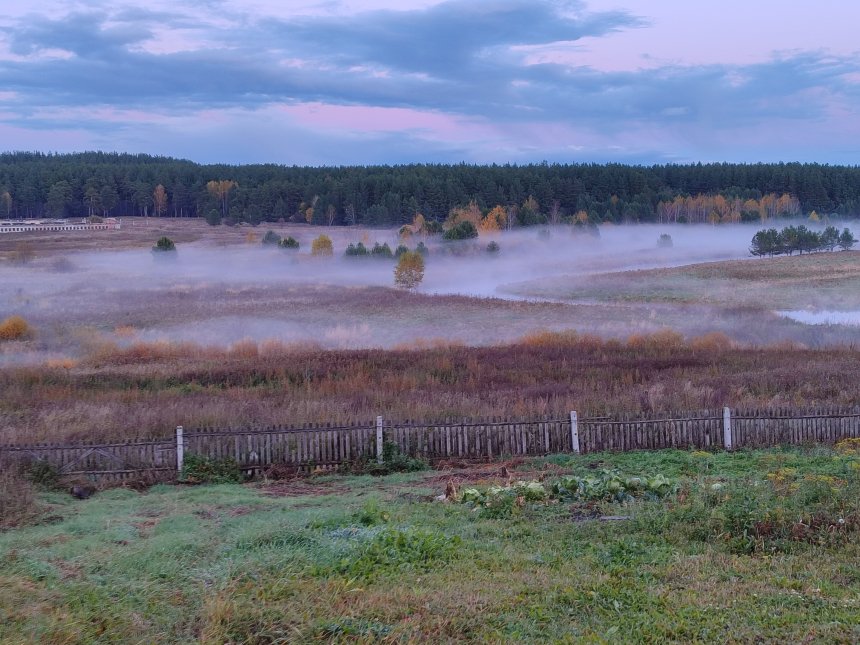 Туман - Татьяна