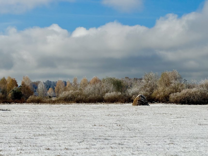 Три времени года -  