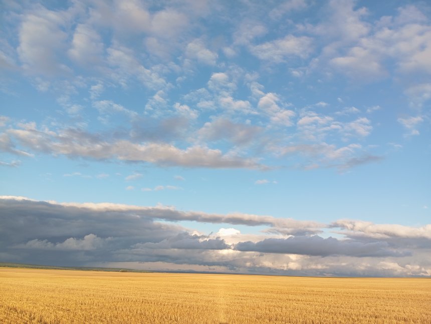 После дождя. -  