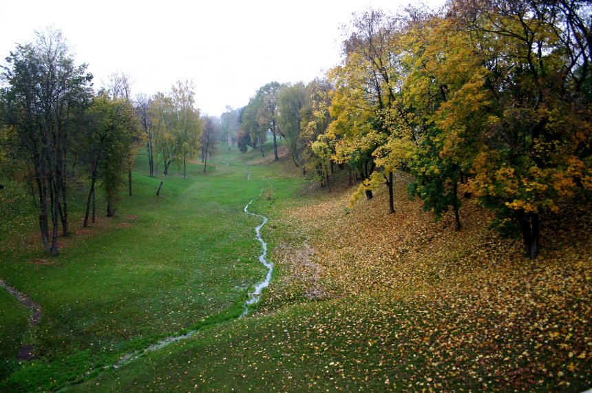 встреча лета и осени у ручья -  