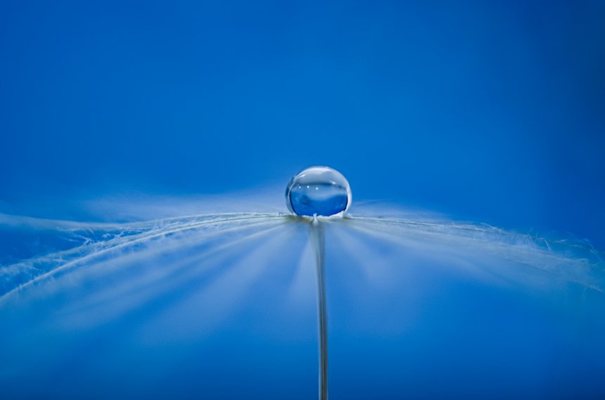 Он уцелел, пока другие уже улетели - Наталья