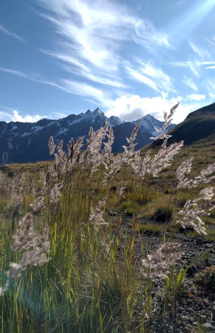 Шепот горных трав - Ирина Алафинова