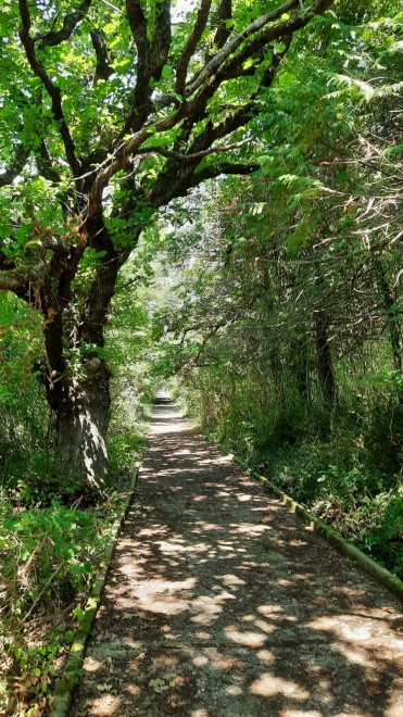 Волшебный туннель - Нина