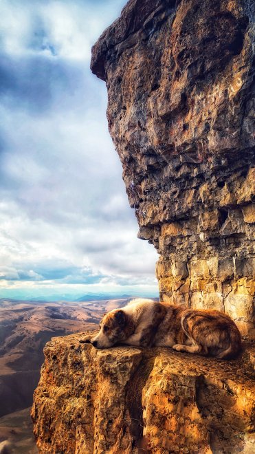 Горный страж - Юлия