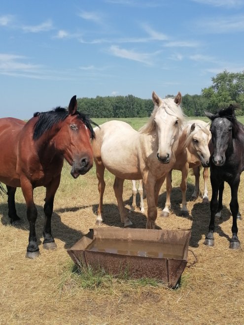 Зной - Вячеслав