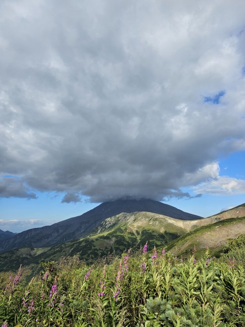 Яркий день - Юлия