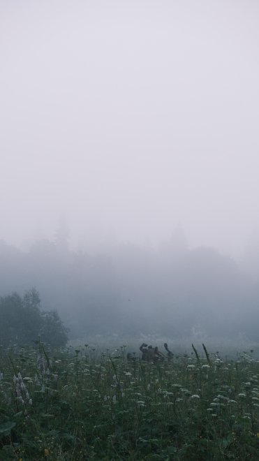 «Лошадь, ты где?» — спросил Ёжик... -  