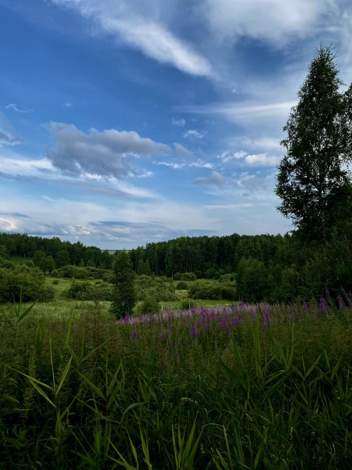 Сосновый бор - Тамара Шагинян