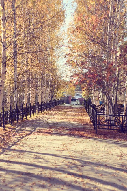 Осенняя аллея -  