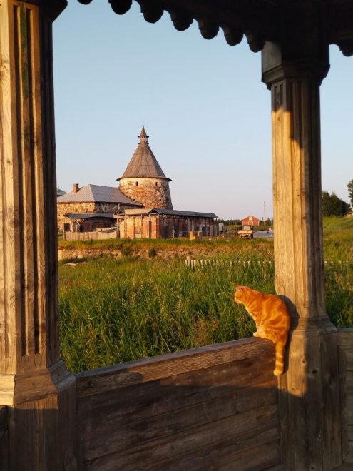 Неизвестные Соловки - Людмила (1/5)