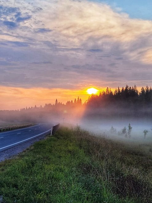 Туманный закат - Полина Соколова