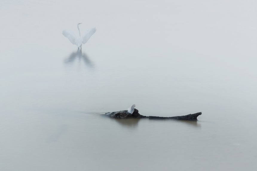 Перышко - Оксана Мыльникова