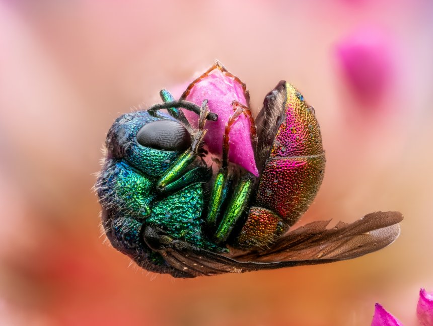 Колыбелька - Глеб Коровко