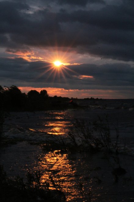 До скорых встреч... - Вероника Молочникова