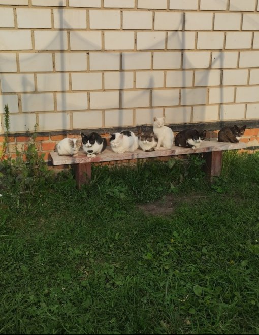 Деревенские посиделки - Абакумов Иван