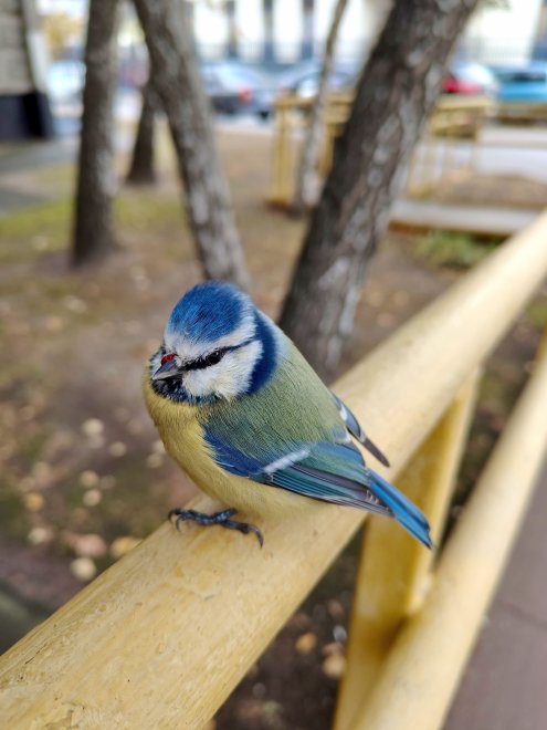 Встреча осени - Никита
