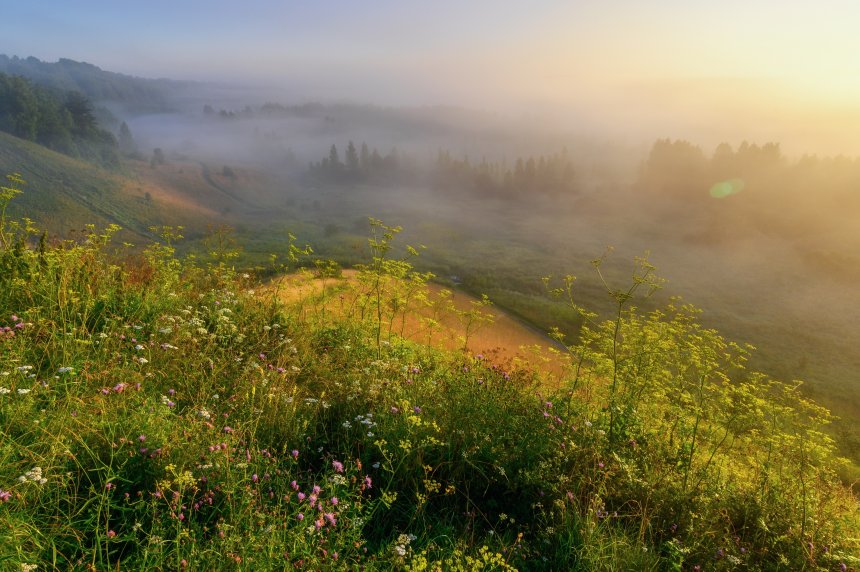Там где рождаются туманы. -   (1/7)