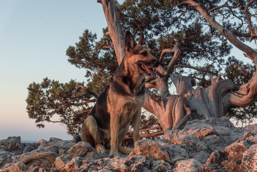 Проводник -   (1/6)