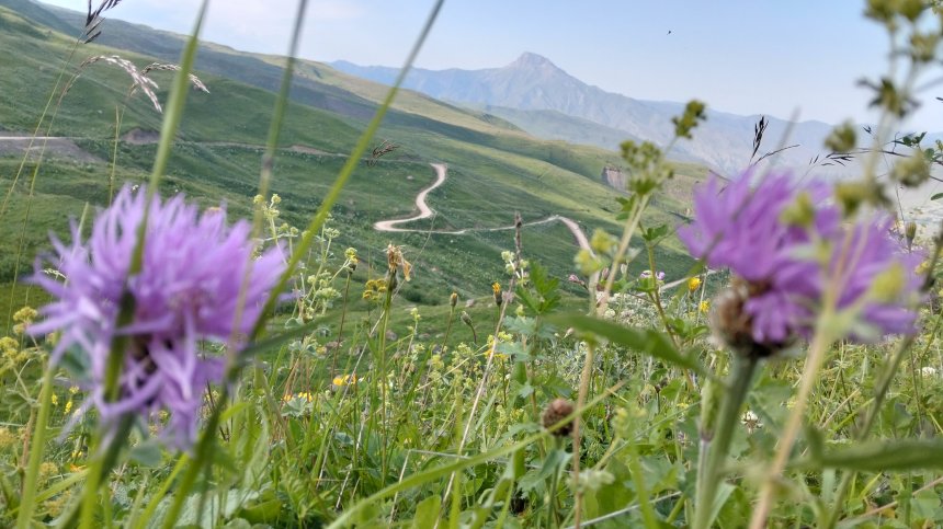 Куруш - Екатерина (1/8)