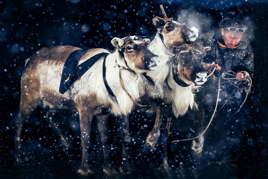 Олени приехали - Наталья