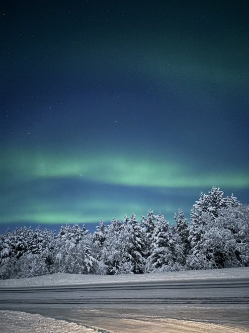 Мурманск и Кольский полуостров - Алёна (1/8)