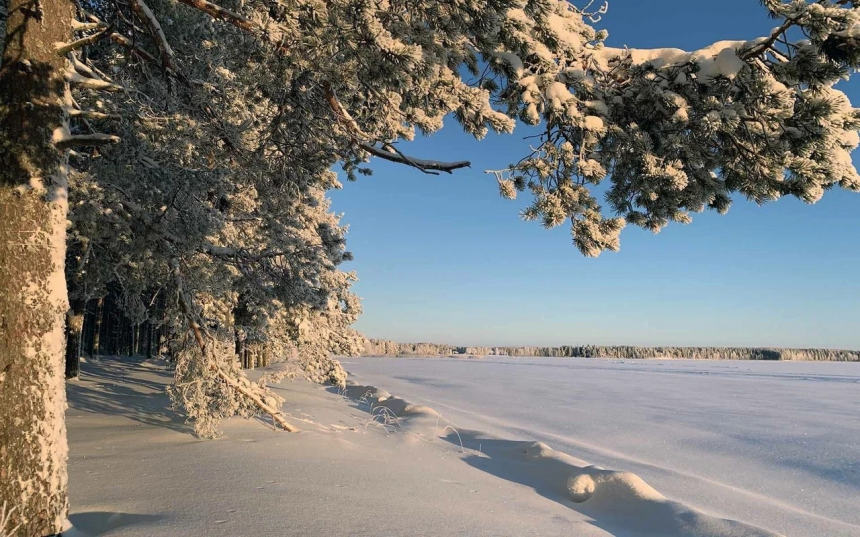 Мой снежный север -  