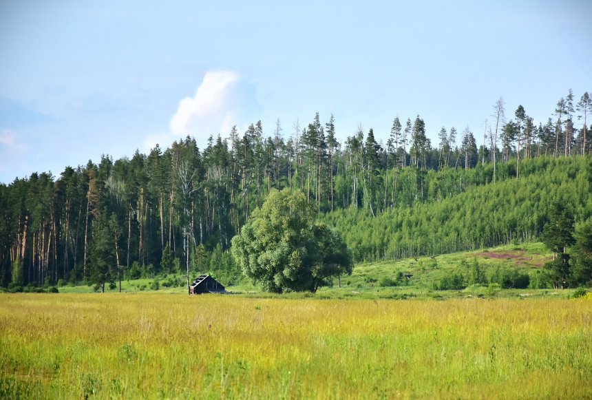 Летний пейзаж за деревней - Ираида