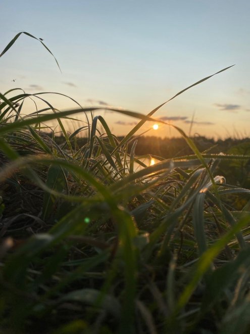 Утренняя красота - Софья