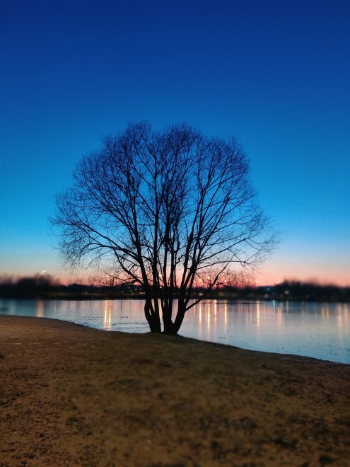 Московский африканский пейзаж) - Мария Тырина