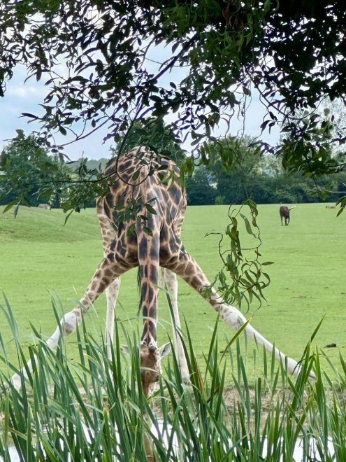 Глоток Счастья - Анна Геннадьевна Шапранова