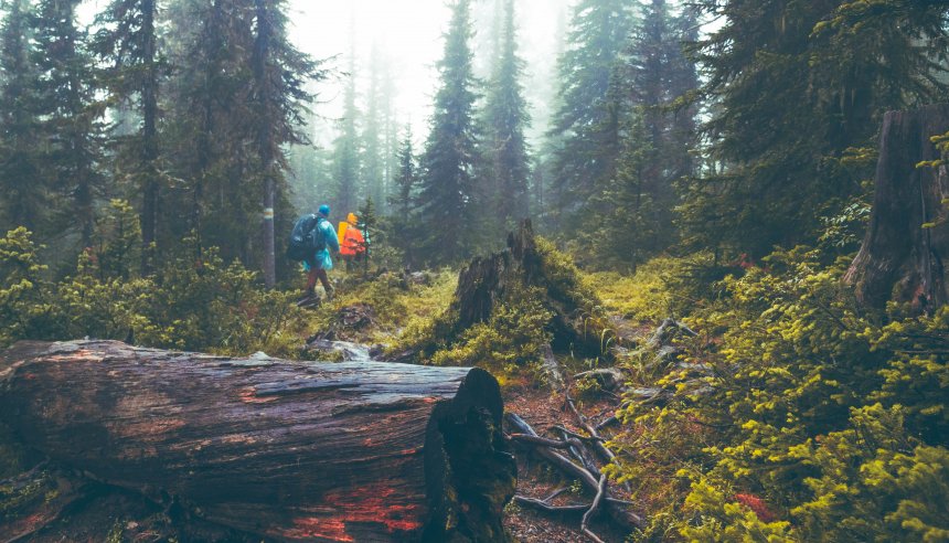 Ергаки в августе -   (1/8)