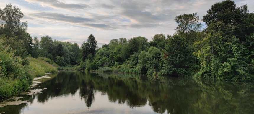 На пруду - Екатерина Холодова