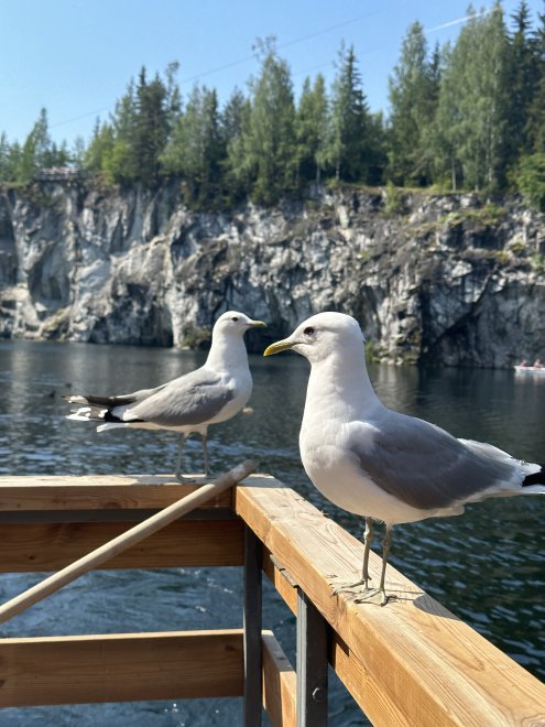 Двое: я и моя тень -  