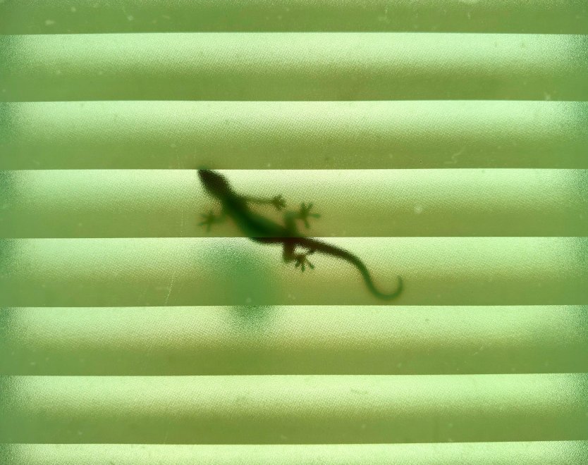 Гость / Guest - Алексей