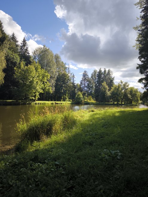 Павловские просторы -  