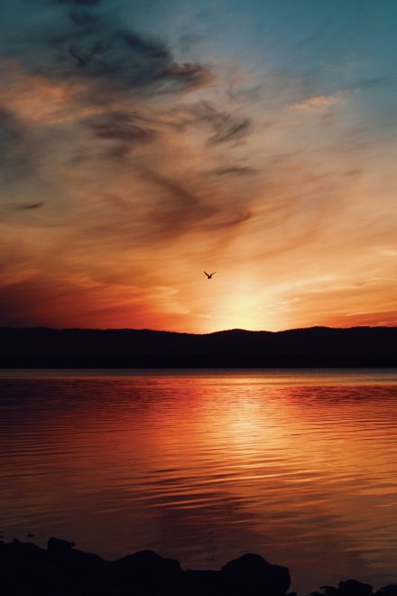 Мгновение вечности -  