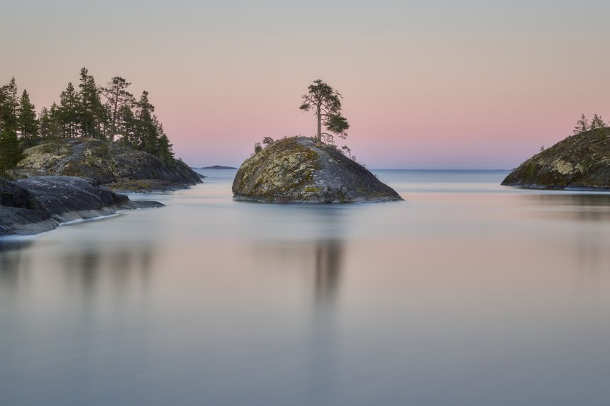 Ладожский кит - Александр Чехонин