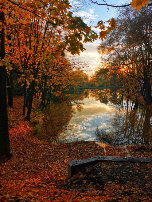 Пушкинская осень🍁🍂 - Богдан (1/8)
