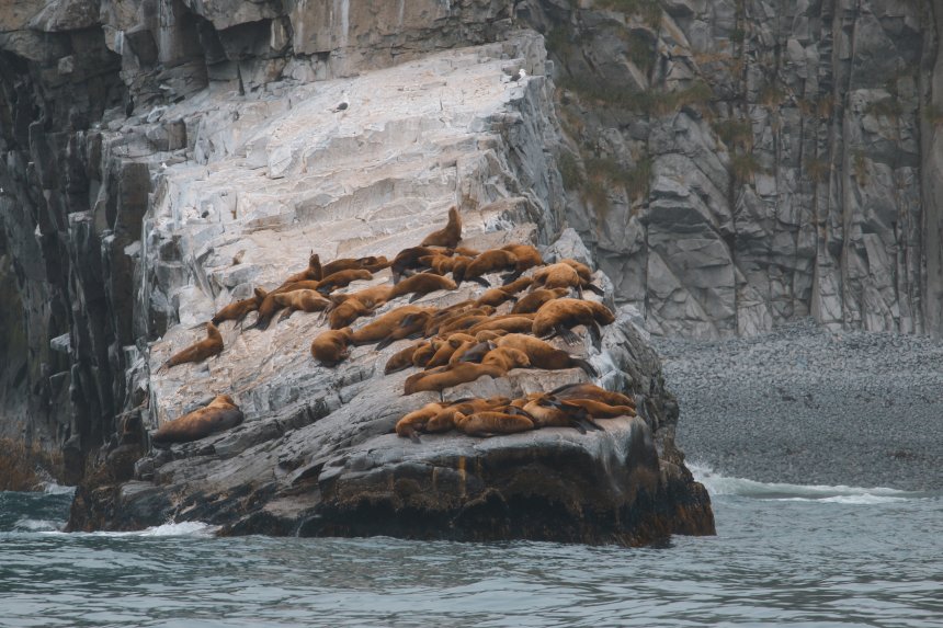 Отдыхающие -   (1/5)