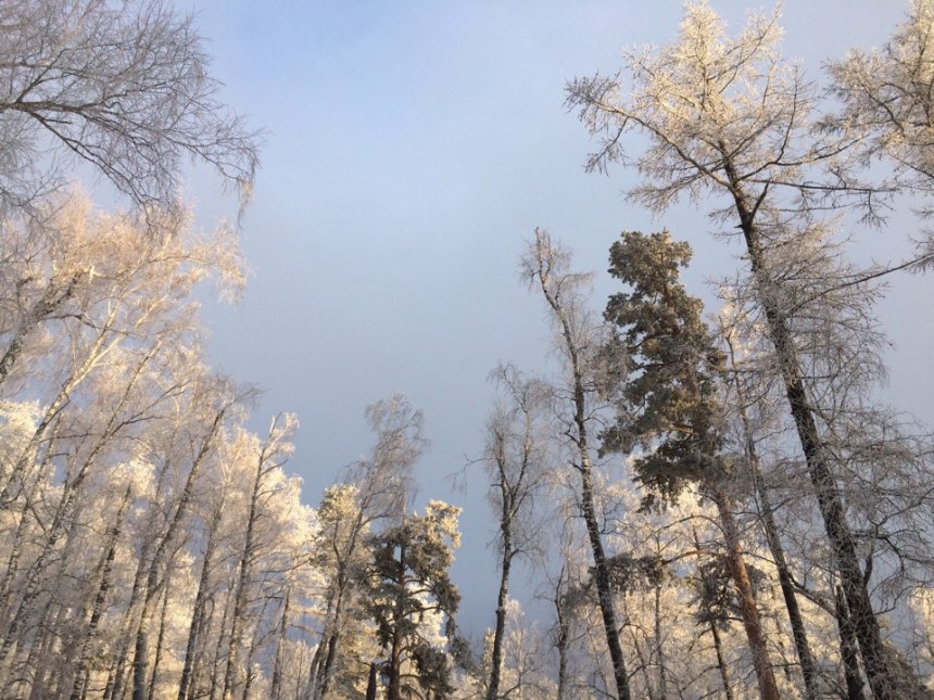 застала чудо -  