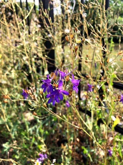 Есть только миг -  