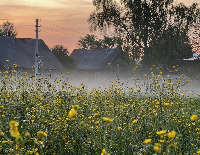 Утренний туман -  