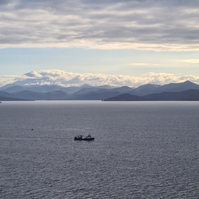 Четвёртый брат -  