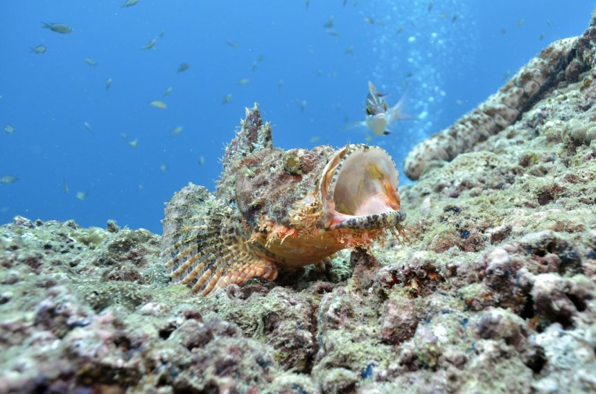 Жизнь и Смерть - Ekaterina Kerusova