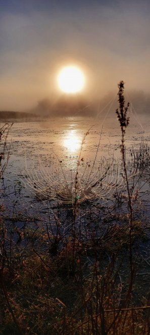 Половодье - Наталья