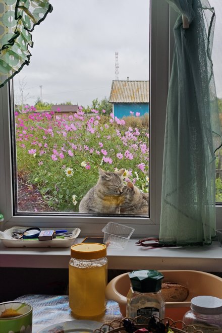 Чтобы не замёрзнуть, жмёмся мы друг к дружке -  