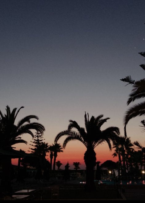 Тунис 2025 -   (1/3)