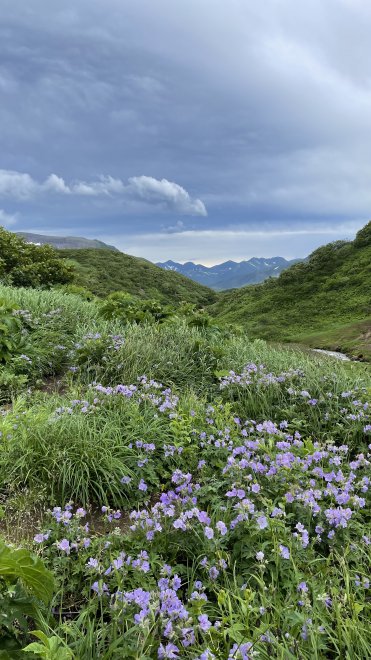 Малая долина гейзеров у вулкана 