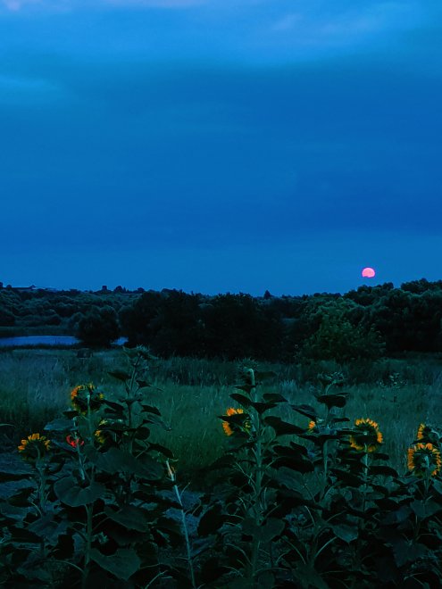 Рязанская область. -  