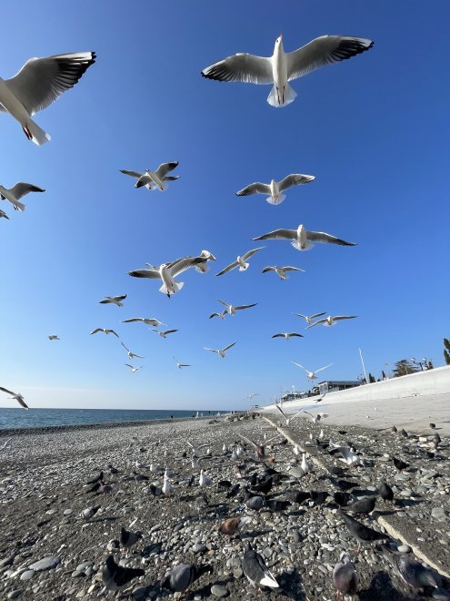 У чёрного моря - Evgeniya